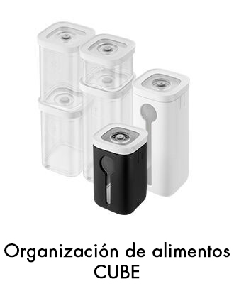 Organizacion