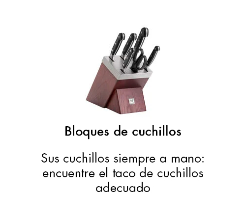 Bloques de Cuchillos